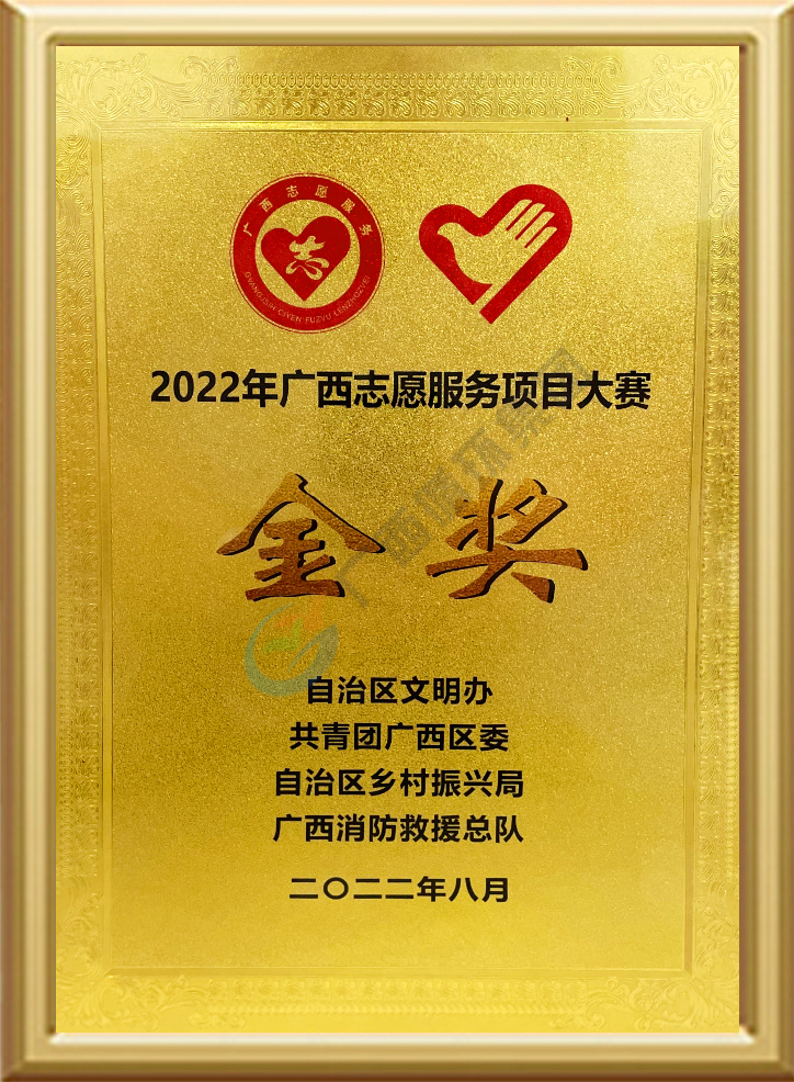 2022年广西志愿服务项目大赛金奖