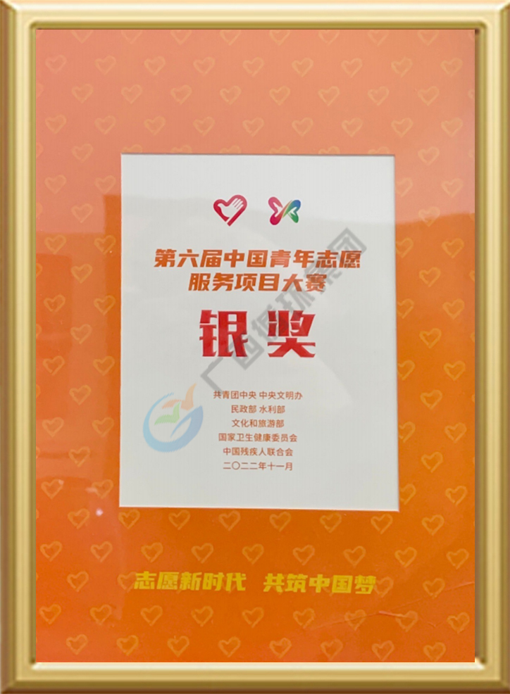 第六届中国青年志愿服务项目大赛银奖